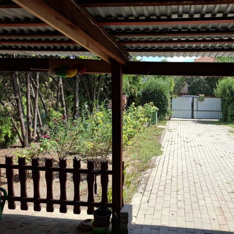 Eladó családi ház, Jászapátiban 18.5 M Ft, 2 szobás