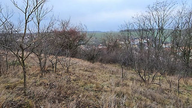 Eladó telek, Leányváron 4.8 M Ft / költözzbe.hu