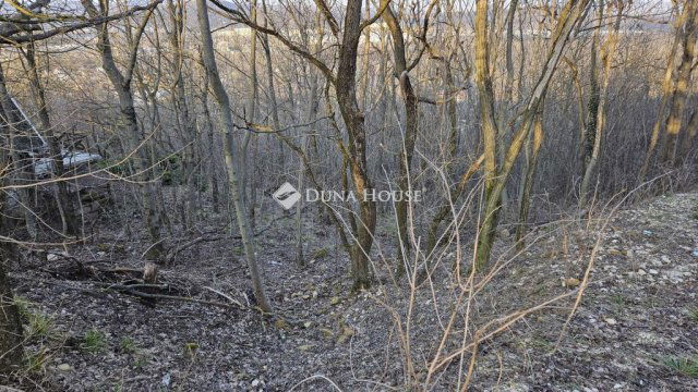 Eladó telek, Biatorbágyon 9.5 M Ft / költözzbe.hu