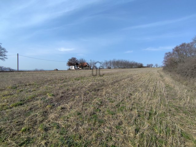 Eladó telek, Magyaralmáson 6.5 M Ft / költözzbe.hu