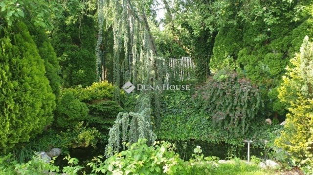 Eladó családi ház, Budapesten, II. kerületben 320 M Ft, 7 szobás