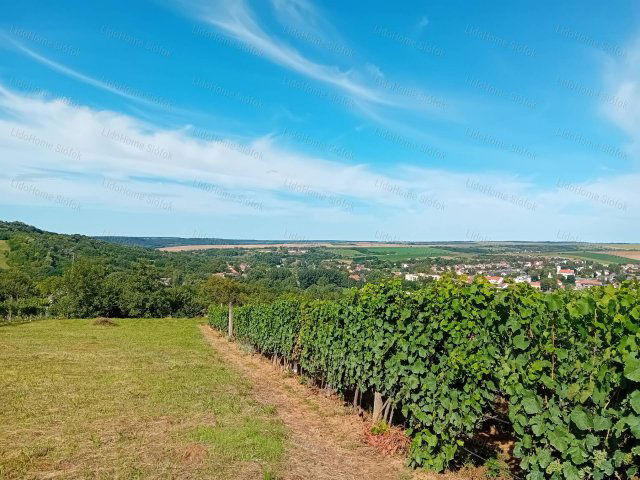 Eladó mezogazdasagi ingatlan, Tabon 11.5 M Ft, 2 szobás