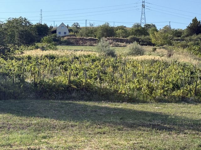 Eladó telek, Csóron 13.49 M Ft / költözzbe.hu