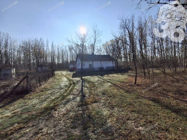 Eladó mezogazdasagi ingatlan, Petőfiszálláson 7.5 M Ft, 2 szobás