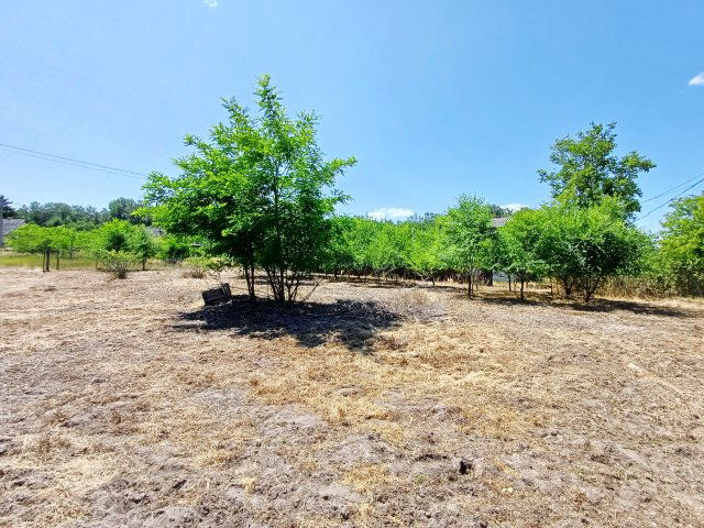 Eladó nyaraló, Debrecenben 3.5 M Ft, 1+1 szobás