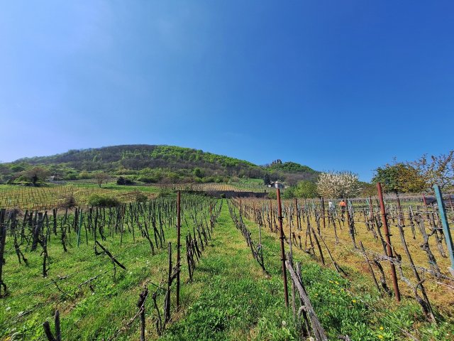 Eladó nyaraló, Dobán 14.9 M Ft, 2 szobás / költözzbe.hu