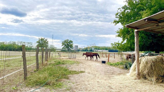 Eladó ipari ingatlan, Hernádon 66.9 M Ft / költözzbe.hu