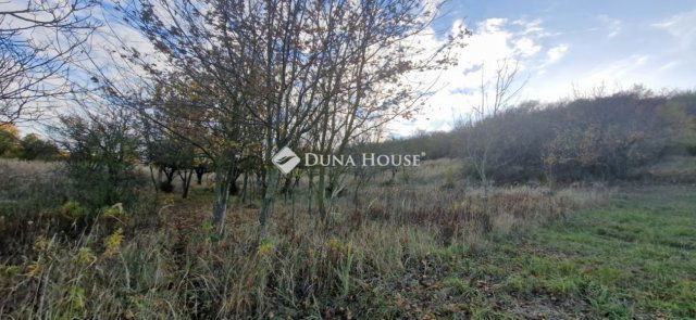 Eladó családi ház, Pusztaszemesen 19.9 M Ft, 1 szobás