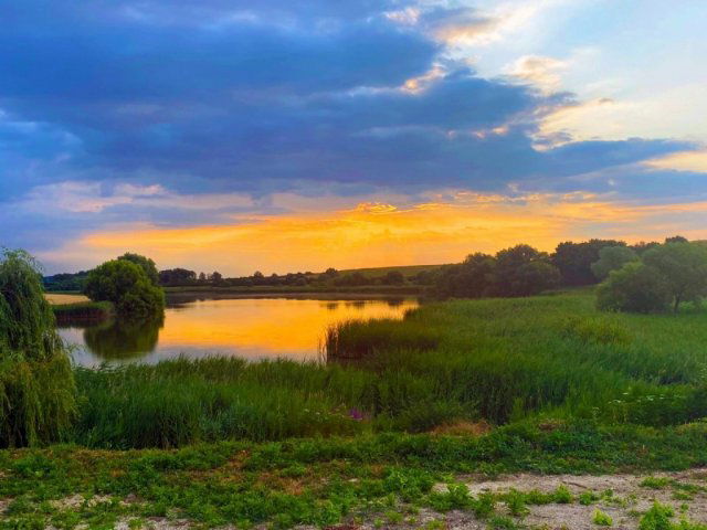 Eladó mezogazdasagi ingatlan, Nagyvázsonyon 445 M Ft