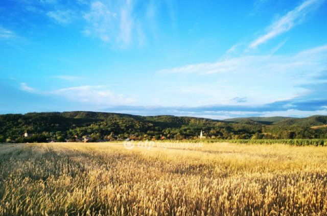 Eladó mezogazdasagi ingatlan, Terényen 110 M Ft