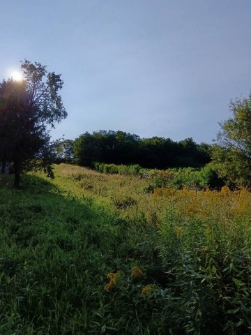 Eladó mezogazdasagi ingatlan, Tornyiszentmiklóson 1.3 M Ft