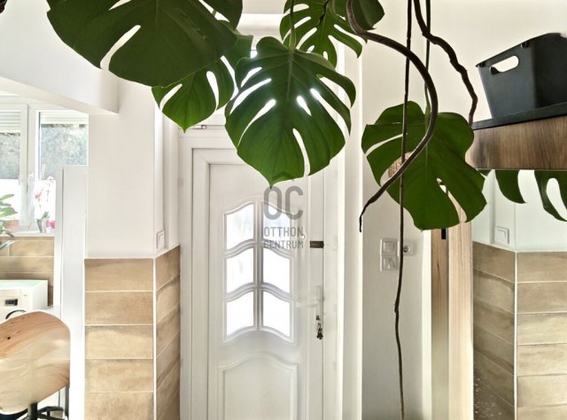 Eladó családi ház, Budapesten, XV. kerületben 54.9 M Ft