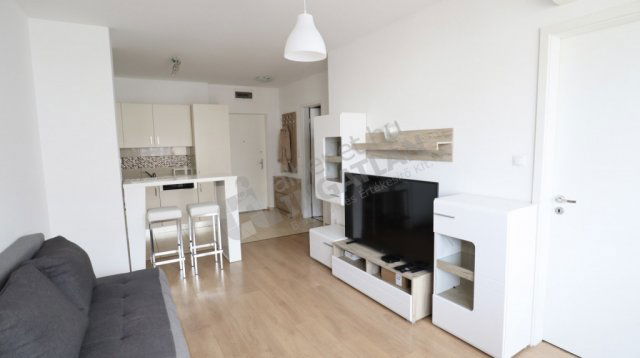 Kiadó téglalakás, albérlet, Budapesten, XI. kerületben