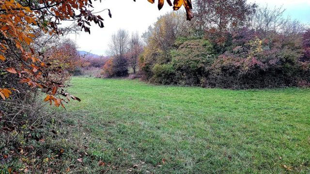 Eladó telek, Verőcén 64.9 M Ft / költözzbe.hu