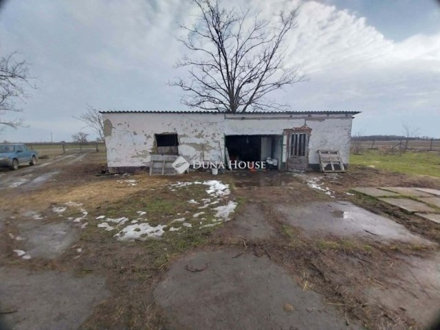 Eladó mezogazdasagi ingatlan, Hódmezővásárhelyen 15 M Ft