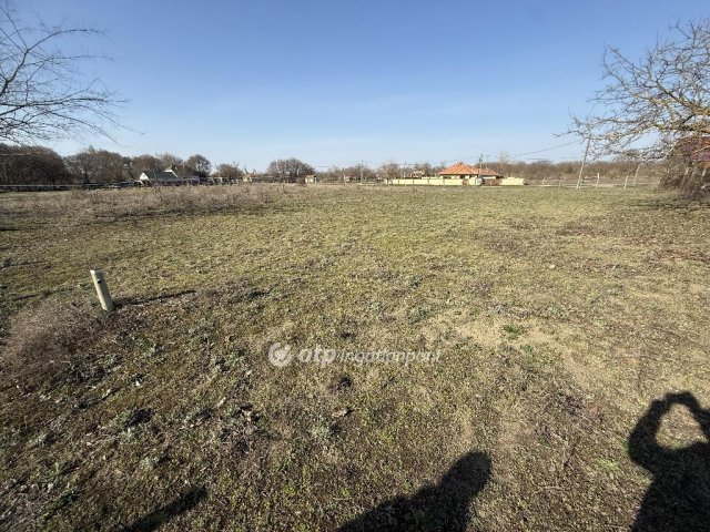 Eladó telek, Tiszakécskén 5.9 M Ft / költözzbe.hu