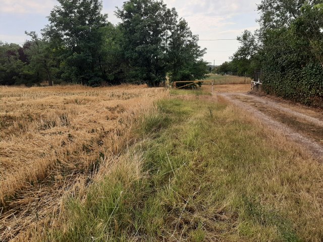 Eladó telek, Gárdonyban 11.9 M Ft / költözzbe.hu