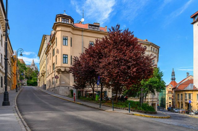 Kiadó téglalakás, albérlet, Budapesten, I. kerületben