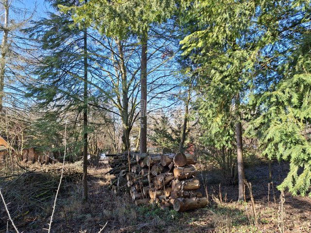 Eladó telek, Budakeszin 29.9 M Ft / költözzbe.hu