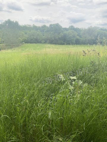 Eladó telek, Erdőkürtön 5.5 M Ft / költözzbe.hu