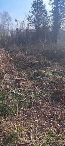 Eladó telek, Zalakaroson 4.5 M Ft / költözzbe.hu