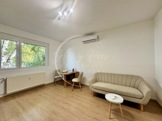 Kiadó panellakás, albérlet, Pécsett, Endre utcában, 2 szobás