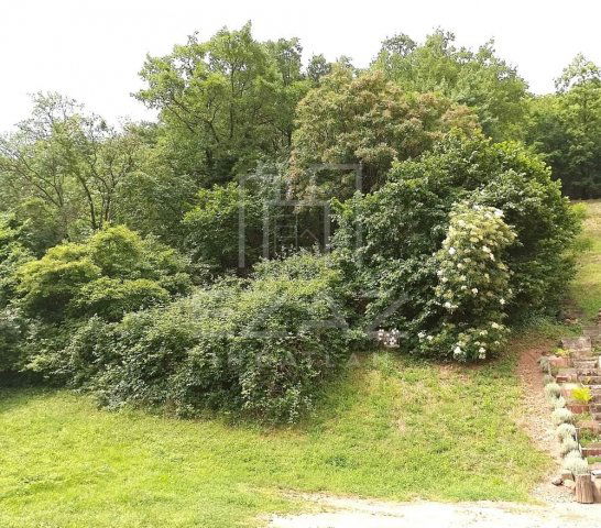 Eladó telek, Pécsett 12.5 M Ft / költözzbe.hu