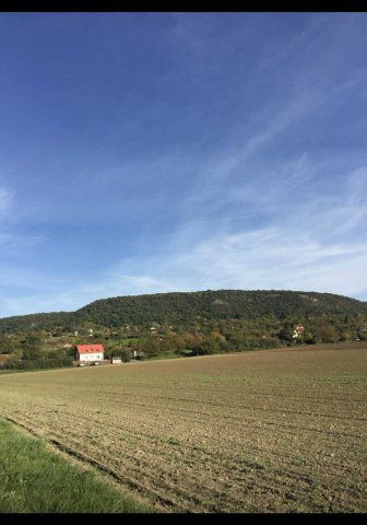 Eladó családi ház, Bajon 59.5 M Ft, 4+1 szobás
