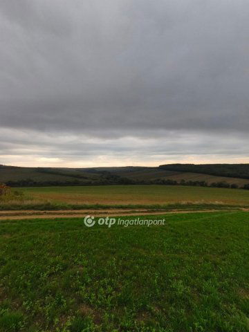 Eladó mezogazdasagi ingatlan, Homrogdon 7 M Ft