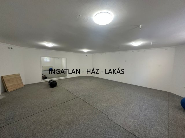 Kiadó üzlethelyiség, Budapesten, XVI. kerületben 250 E Ft / hó