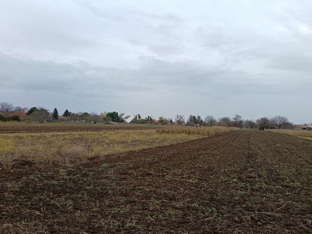 Eladó telek, Balatonszabadiban 22 M Ft / költözzbe.hu