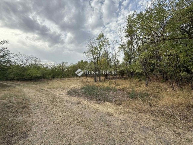 Eladó mezogazdasagi ingatlan, Kunadacson 39 M Ft, 4 szobás