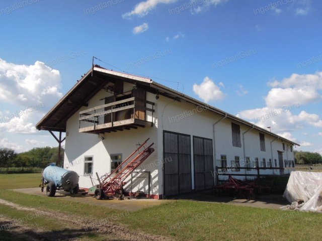 Eladó mezogazdasagi ingatlan, Lajosmizsén 307.5 M Ft