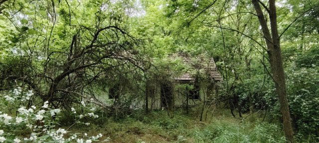 Eladó mezogazdasagi ingatlan, Ráckevén 8.5 M Ft