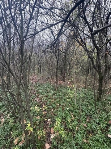 Eladó telek, Kerepesen 22 M Ft / költözzbe.hu