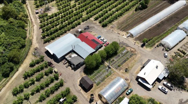 Eladó mezogazdasagi ingatlan, Putnokon 390 M Ft