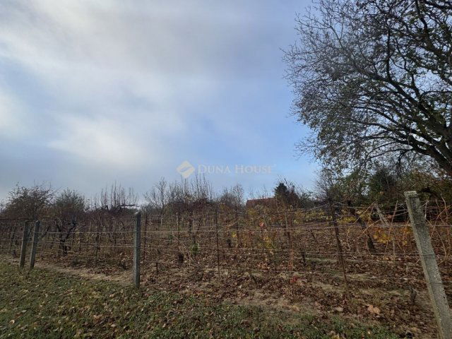 Eladó családi ház, Pécsett 12.9 M Ft, 1 szobás