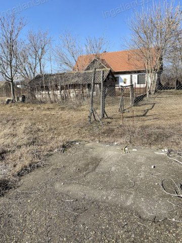 Eladó mezogazdasagi ingatlan, Lajosmizsén 99 M Ft