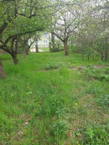 Eladó mezogazdasagi ingatlan, Tatabányán 8.5 M Ft