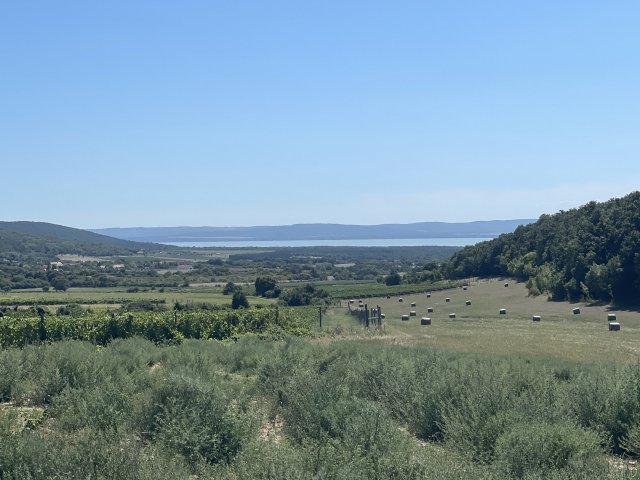 Eladó mezogazdasagi ingatlan, Dörgicsén 310 M Ft