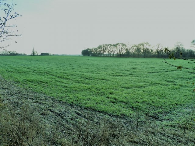 Eladó ipari ingatlan, Kecskeméten 61 M Ft / költözzbe.hu