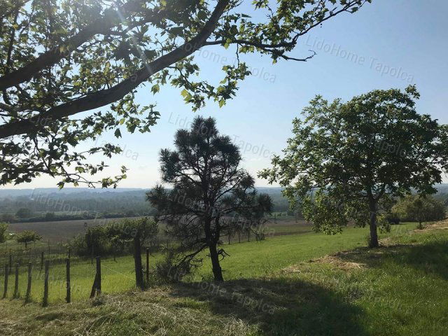 Eladó telek, Keszthelyen 32 M Ft / költözzbe.hu