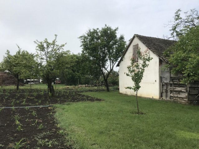 Eladó mezogazdasagi ingatlan, Szentesen 6.9 M Ft, 1 szobás