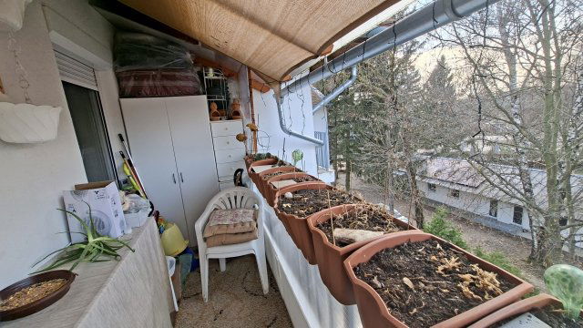 Eladó téglalakás, Dombóváron 27.5 M Ft, 1+1 szobás