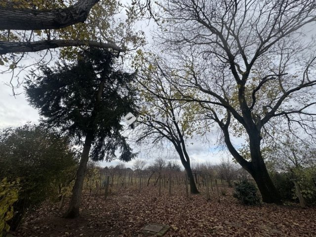 Eladó családi ház, Pécsett 44 M Ft, 4 szobás