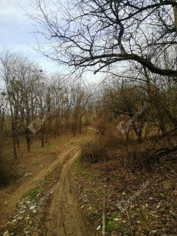 Eladó telek, Nagykapornakon 3.4 M Ft / költözzbe.hu