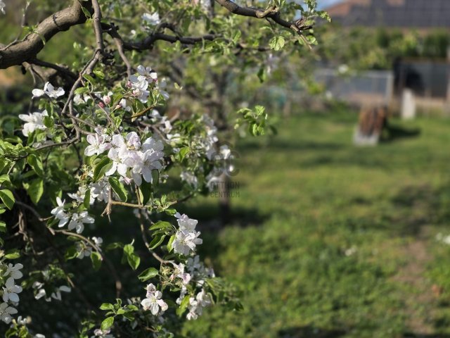 Eladó családi ház, Budapesten, XVIII. kerületben 199 M Ft