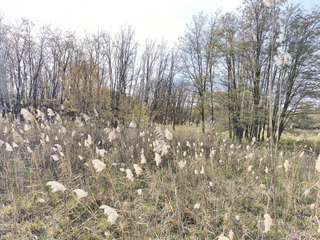 Eladó telek, Farmoson 9.9 M Ft / költözzbe.hu