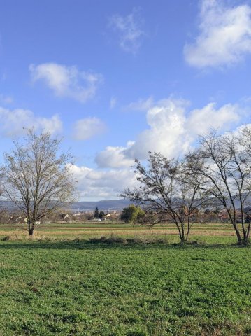 Eladó telek, Tatán 120 M Ft / költözzbe.hu