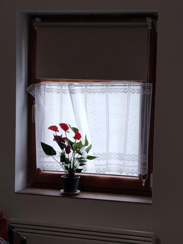 Eladó mezogazdasagi ingatlan, Dunaújvárosban 275 M Ft